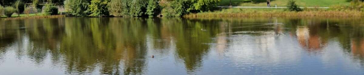 Klicken um die Schaltflächen zu zeigen oder zu verbergen