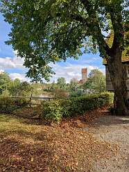 35: IMG-20251115-WA0074