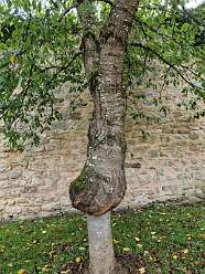 38: IMG-20251115-WA0077