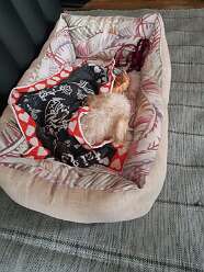 56: IMG-20251115-WA0100