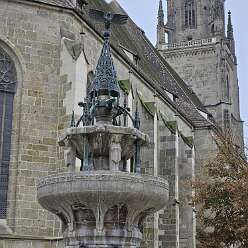 15: IMG-20251115-WA0216