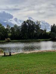 4: IMG-20251115-WA0221