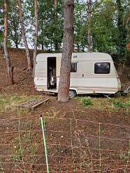 13: IMG-20251115-WA0233