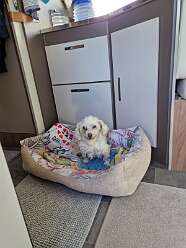 20: IMG-20251115-WA0234