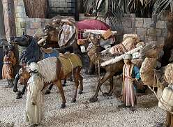 103: Screenshot_20241003_100843_WhatsApp