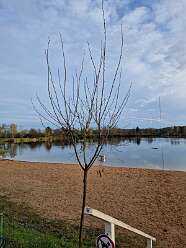 15: IMG-20251115-WA0168