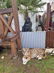 16: IMG-20251115-WA0169