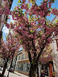 4: IMG-20251115-WA0023