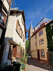 7: IMG-20251115-WA0026