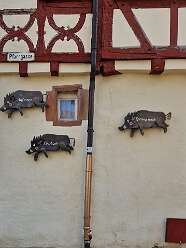 8: IMG-20251115-WA0027