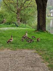 30: IMG-20251115-WA0049